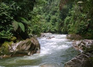 Río Bombuscaro